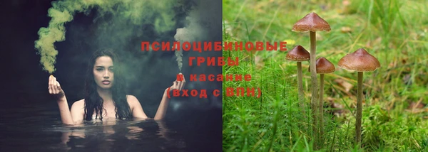 молекула духа Алзамай