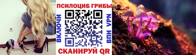 Псилоцибиновые грибы Psilocybe Шумиха